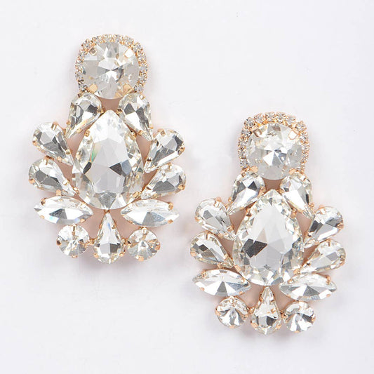 Jewel Earrings